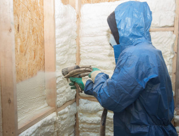 Reliable Ricardo, TX Insulation Solutions